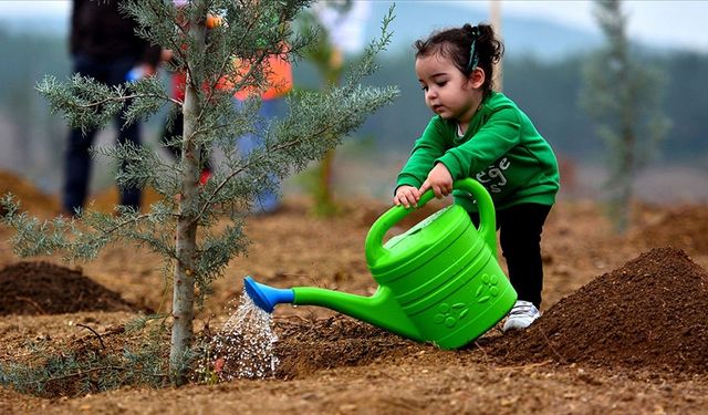7’den 70’e Herkes Bu Yıl Da “Orman Benim” Diyecek