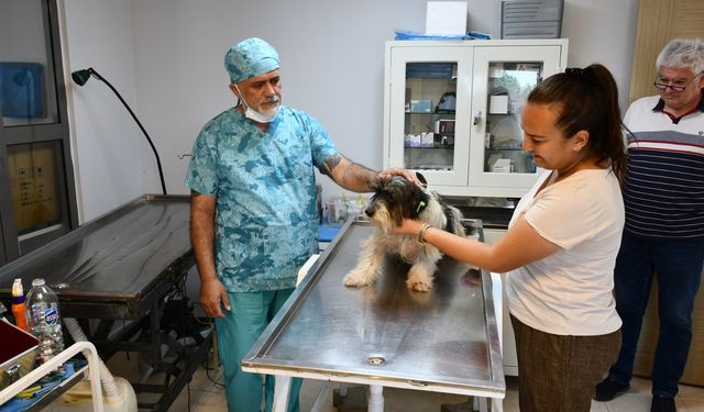 Lüleburgaz Belediyesinden Can Dostlara Bakım