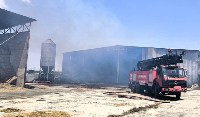 Kırklareli: Hayvan Çiftliği Alevler İçinde Kaldı
