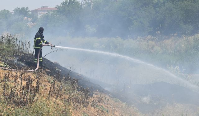Kırklareli'nde Otluk Alanda Yangın