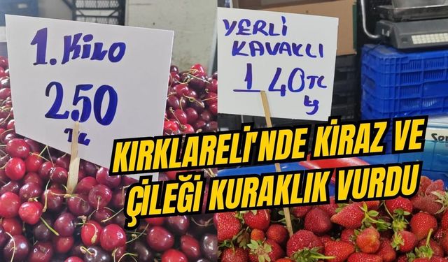 Kırklareli’nde Kiraz ve Çileği Kuraklık Vurdu