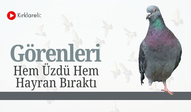 Kırklareli: Görenleri Hem Üzdü Hem Hayran Bıraktı