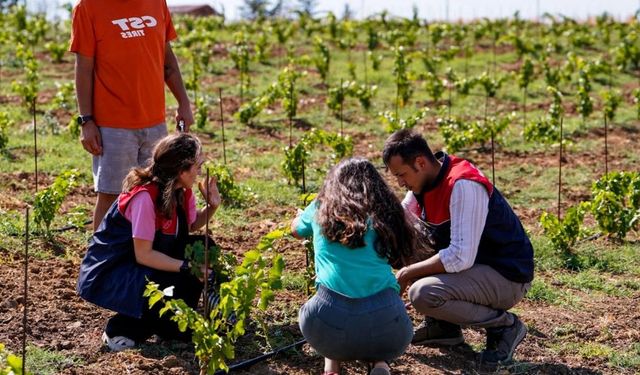 Lüleburgaz’da Zararlı Tespiti Yapıldı