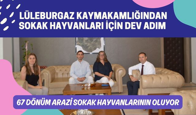 LÜLEBURGAZ; 67 Dönüm Arazi Sokak Hayvanlarının Oluyor