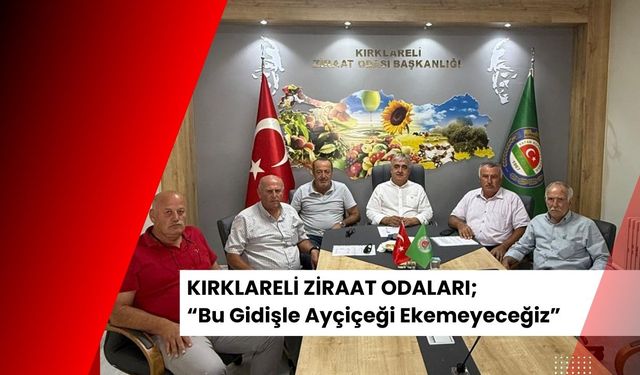 KIRKLARELİ ZİRAAT ODALARI; “Bu Gidişle Ayçiçeği Ekemeyeceğiz”