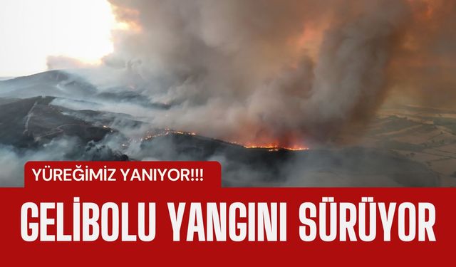 YÜREĞİMİZ YANIYOR; Gelibolu Yangını Sürüyor