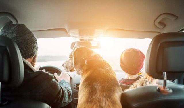 Isı Çarpmasına Karşı Önce Soğutun, Sonra Taşıyın