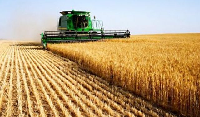 Tarım-ÜFE Verileri Belli Oldu