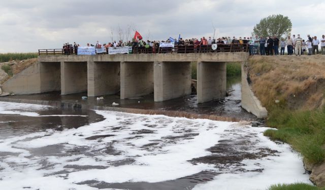 TEMA Vakfı’ndan Ergene İçin Güçlü Çağrı: “Ergeneyi Önemse, Geleceğe Gülümse”