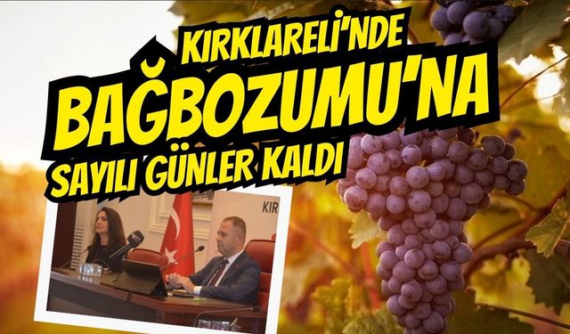 Kırklareli’nde Bağbozumuna Sayılı Günler Kaldı