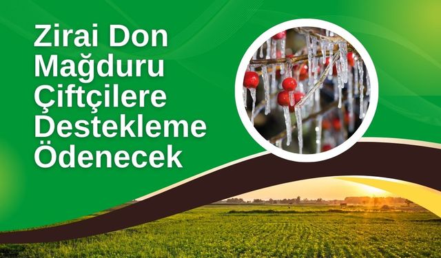 Zirai Don Mağduru Çiftçilere Destekleme Ödenecek
