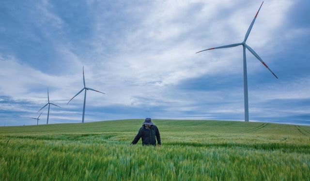 Ulusal Fotoğraf Yarışmasında Kazananlar Belli Oldu