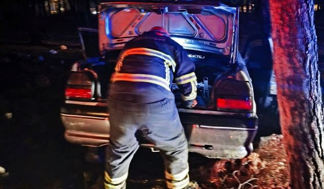 Direksiyon Hakimiyetini Kaybetti, Ağaca Çarptı