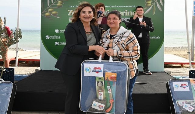 Büyükşehir'den Zeytin Üreticilerine Destek