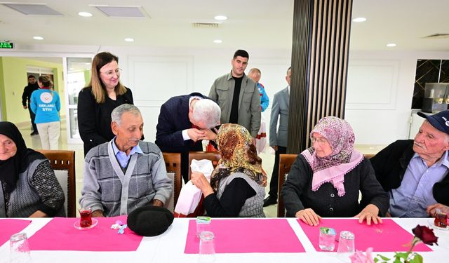 Bir Yastıkta Yarım Asır