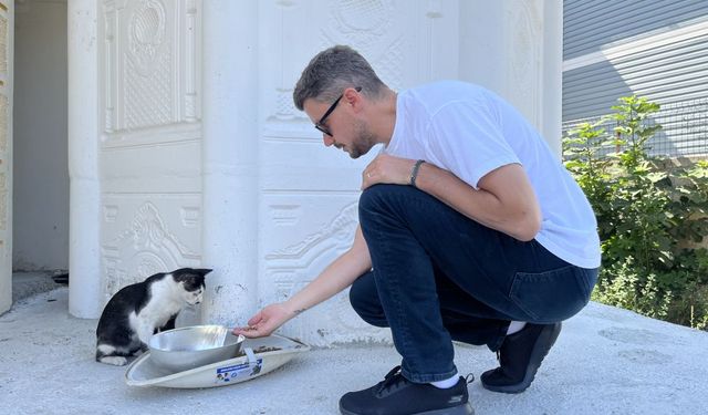 TREDAŞ, Hayvanları Unutmuyor