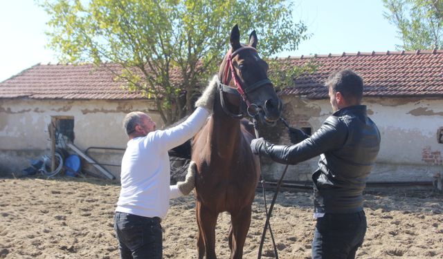Kırklareli: Amansız Hastalık Onu Sevdasından Ayıramadı