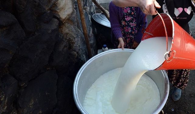 Süt ve Süt Ürünleri Üretim İstatistikleri Açıklandı