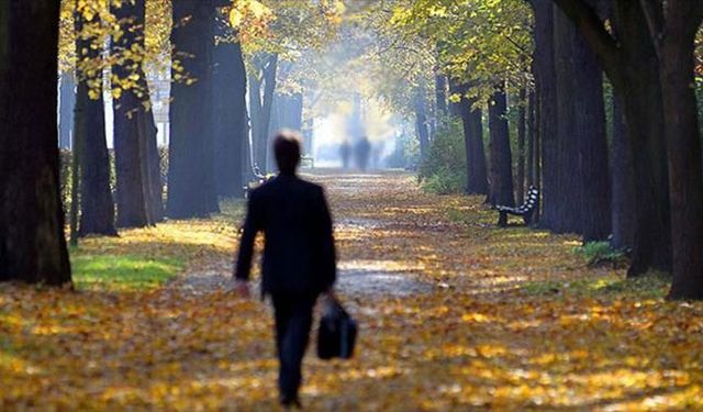 Dikkat! Azı Karar, Çoğu Zarar!