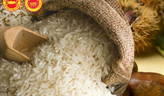 İpsala Pirinci AB'den Coğrafi İşaret Tescili Aldı