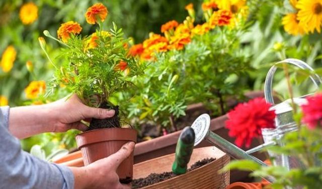 Halk Eğitim Merkezinden Yepyeni Bir Kurs