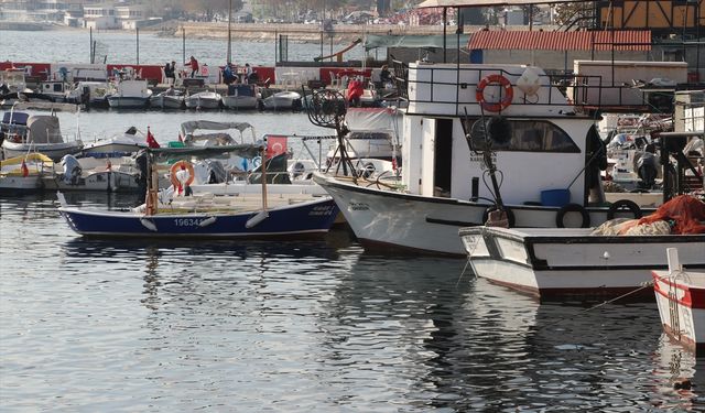 Balıkçılar Tekirdağ'a Akın Etti
