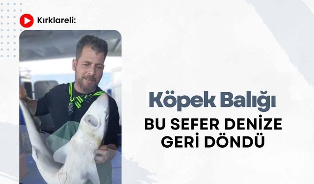 Kırklareli: Köpek Balığı Bu Sefer Denize Geri Döndü