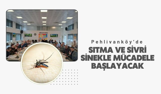 Pehlivanköy’de Sıtma ve Sivrisinekle Mücadele Başlayacak