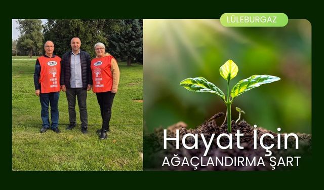 Hayat İçin Ağaçlandırma Şart
