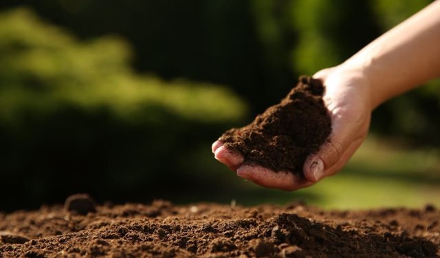 Sağlıklı Kentler İçin, Sağlıklı Topraklara İhtiyacımız Var!