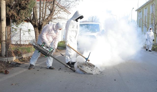 Edirne’de Biyosidal Ürün Uygulandı