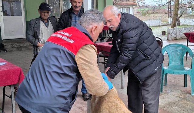 Kırklareli’nde Mikroçip Uygulaması Yapıldı