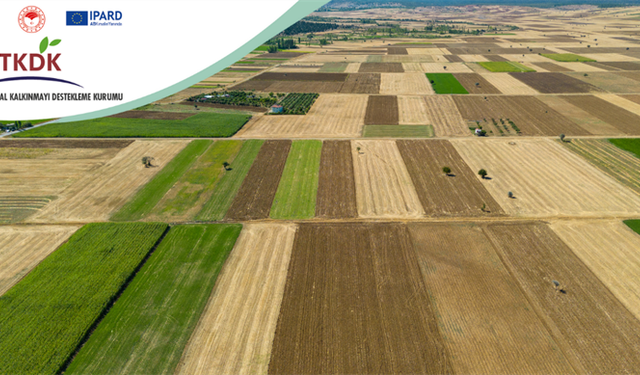 Üreticilere Kasım Döneminde 376,8 Milyon Lira Ödendi