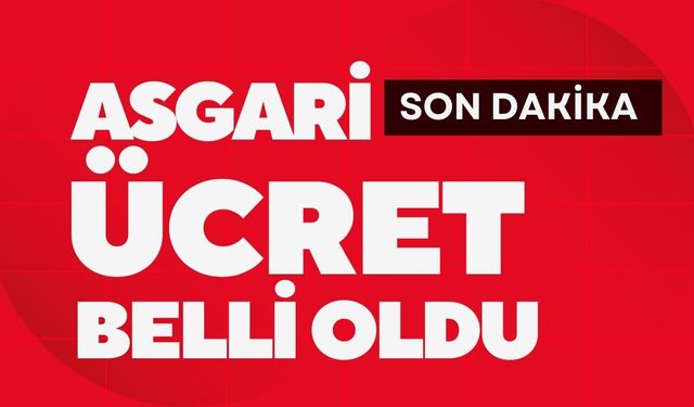 SON DAKİKA; Asgari Ücret Belli Oldu!