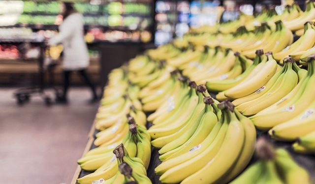 Ekonomik Güven Endeksi Aralık Verisi Belli Oldu