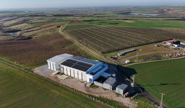 Kırklareli'nde Soğuk Hava Deposu Elektriğinin Yüzde 80’ini Güneşten Sağlıyor