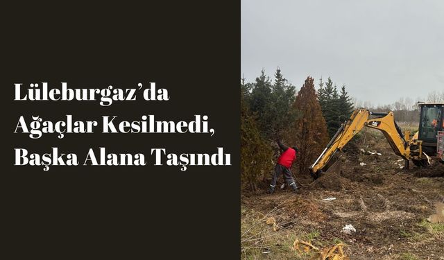 Lüleburgaz’da Ağaçlar Kesilmedi, Başka Alana Taşındı
