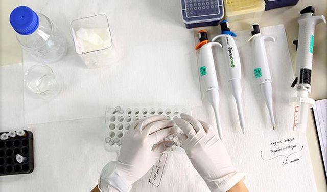 Sağlıklı Bir Kış İçin İhmale Gelmez 7 Tetkik