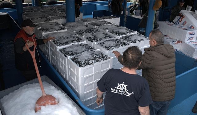 Kırklareli'nde Hamsi Avcılığı İçin 1365 Tekneye İzin Belgesi Verildi