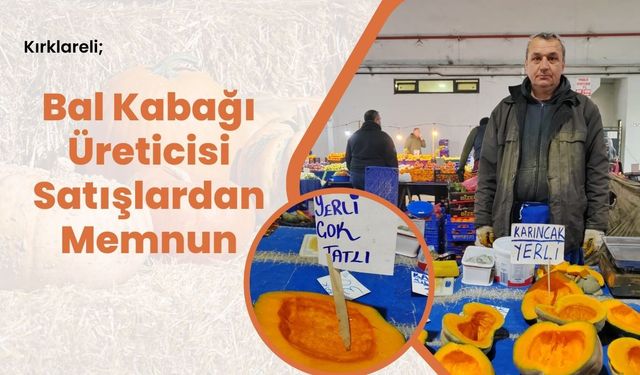 Kırklareli; Bal Kabağı Üreticisi Satışlardan Memnun