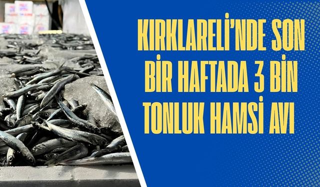 Kırklareli’nde Son Bir Haftada 3 Bin Tonluk Hamsi Avı