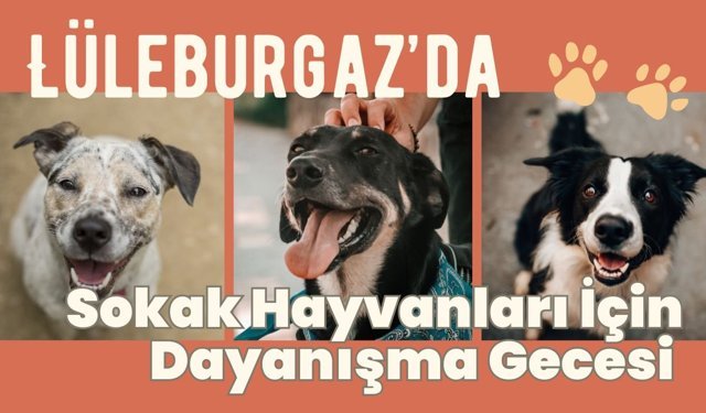 Lüleburgaz’da Sokak Hayvanları İçin Dayanışma Gecesi
