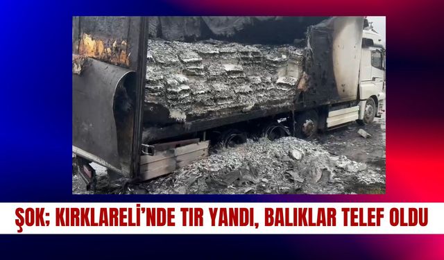 ŞOK; Kırklareli’nde Tır Yandı, Balıklar Telef Oldu