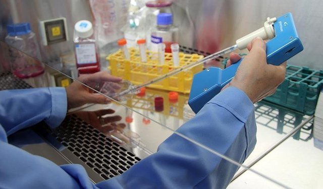 Kanser Tedavisinde En Yeni 4 Gelişme!