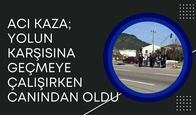 Acı Kaza; Yolun Karşısına Geçmeye Çalışırken Canından Oldu