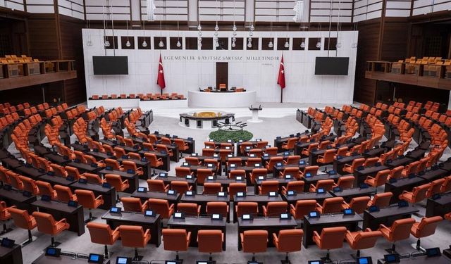 Doğum İzni ve Sosyal Medya Düzenlemesi Bu Hafta Meclis Gündeminde!