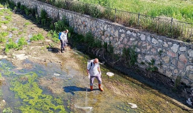 Kırklareli Belediyesi’nden İlaçlama Çalışması