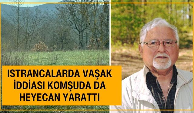 Istrancalarda Vaşak İddiası Komşuda da Heyecan Yarattı