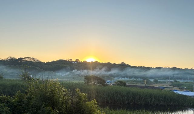 Mangal Yakanlar Dikkat: Piknik Keyfi Kabusa Dönmesin