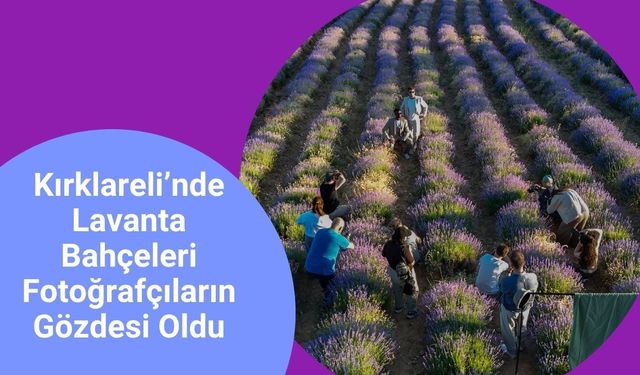 Kırklareli’nde Lavanta Bahçeleri Fotoğrafçıların Gözdesi Oldu